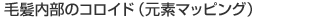 ゴールドコロイドTEM画像